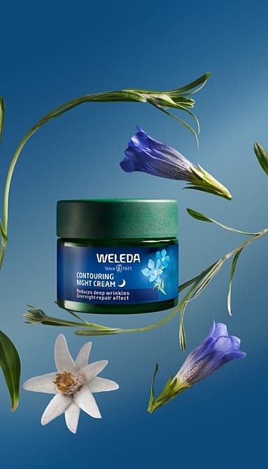 Contouring Night Cream
